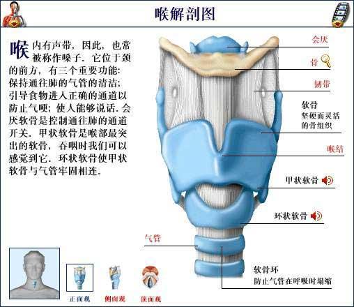 治疗耳鼻喉感染2